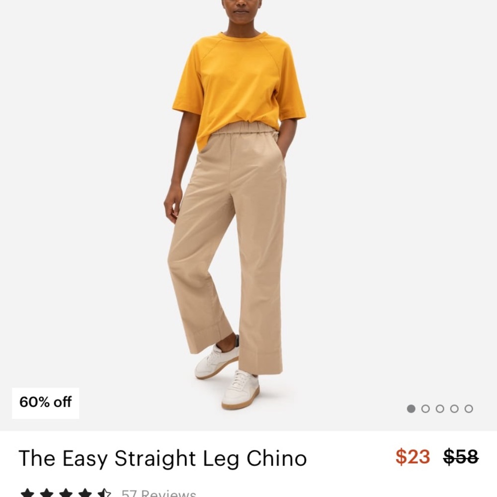 Everlane The Easy Straight Leg Chino